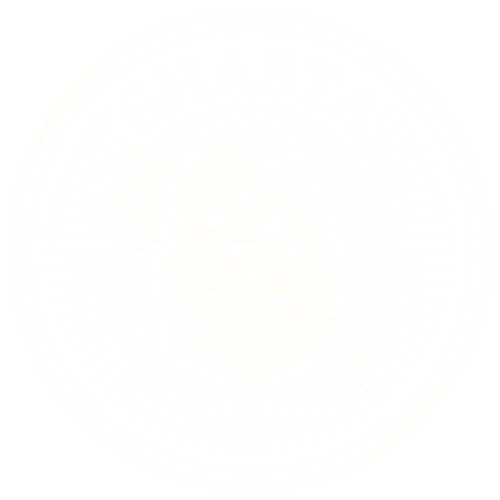 Shasta